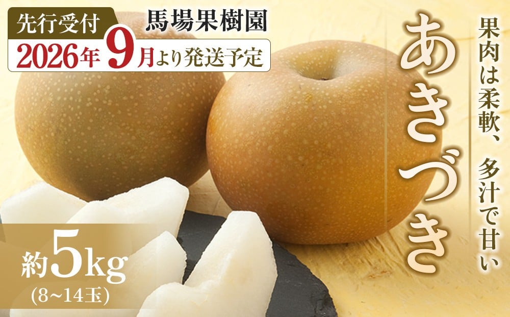 
            【2026年先行予約／馬場果樹園】梨「あきづき」約5kg（8～14玉入）9月中旬～順次発送
          