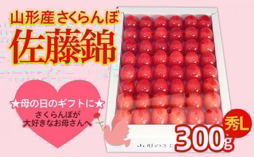 ★5月まるごと母の日★さくらんぼ 佐藤錦 秀L 300g 手詰  (5/15～発送)【オンライン決済限定】 FS24-679