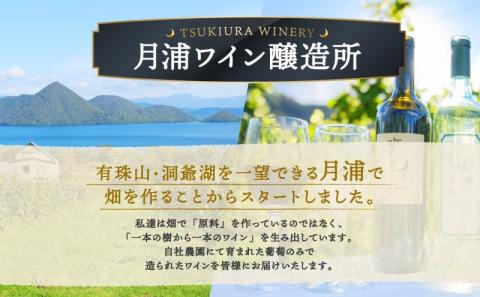 	北海道 洞爺湖町産 月浦ワイン 白 750ml×2本 ミュラートゥルガウ 白ワインお酒 アルコール ブドウ酒 自社農園 家飲み お祝い 記念日 贈答用 ギフト 月浦ワイナリー 送料無料