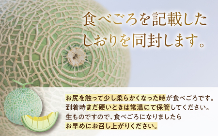 先行予約 特選メロン 2玉 マスクメロン (1玉 1.9kg前後) 渥美半島産 マルタケ農園 メロン めろん 箱詰め フルーツ 果物 愛知県 田原市 産地直送 夏 15000円 1万5千円