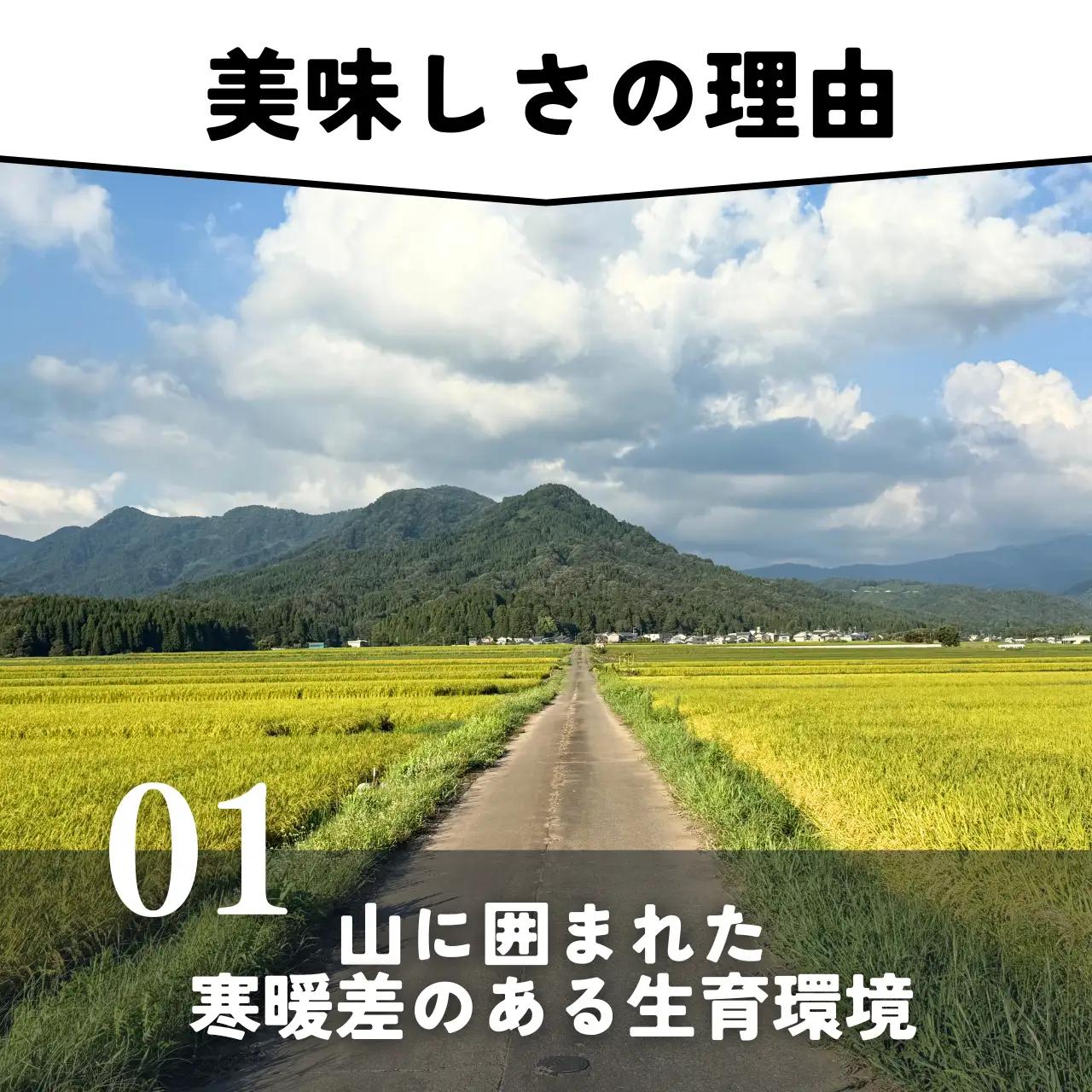 米 2025年産新米 コシヒカリ 勝山産 10kg [C-096002]