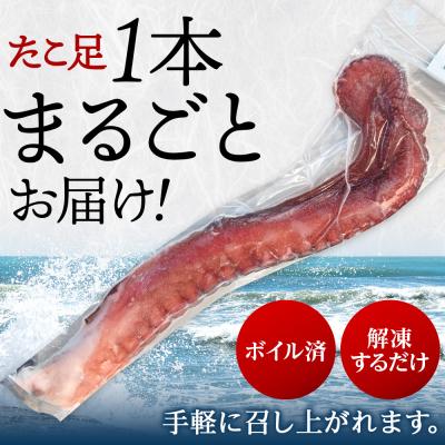ふるさと納税 天塩町 北海道天塩町 煮たこ 足 700g前後<天塩の國> |  | 02