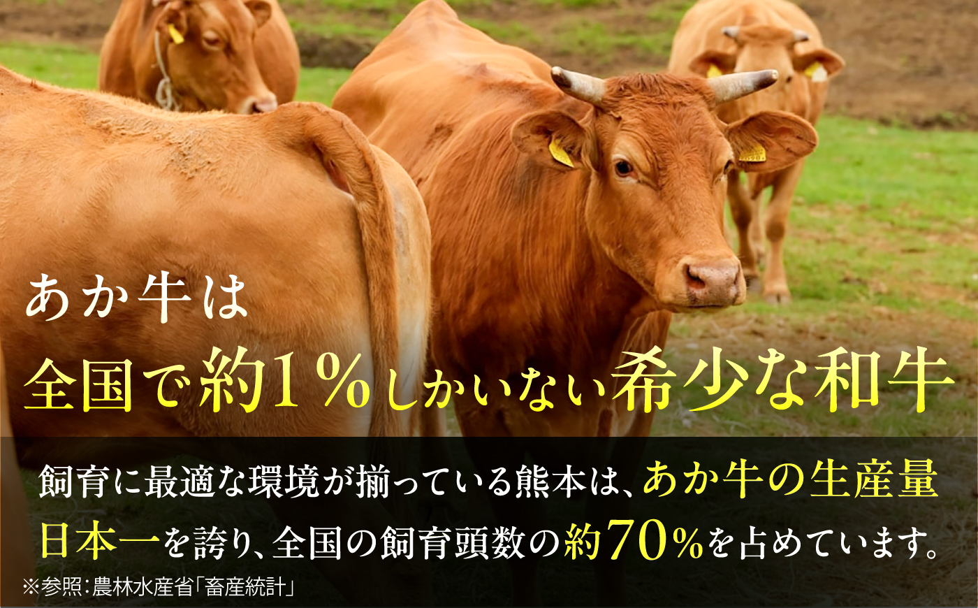 【全6回定期便】あか牛丼(2人前)セット / 菊陽町 あかうし 熊本県 肉 にく niku ブランド 旨み【有限会社　三協畜産】 [BHAS049]