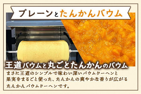 カットバウム３種×２個(計24カット)｜菓子 おかし 焼き菓子 スイーツ デザート バウムクーヘン 食品 人気 おすすめ 柑橘系 プレーン たんかん 辺塚だいだい SH-1