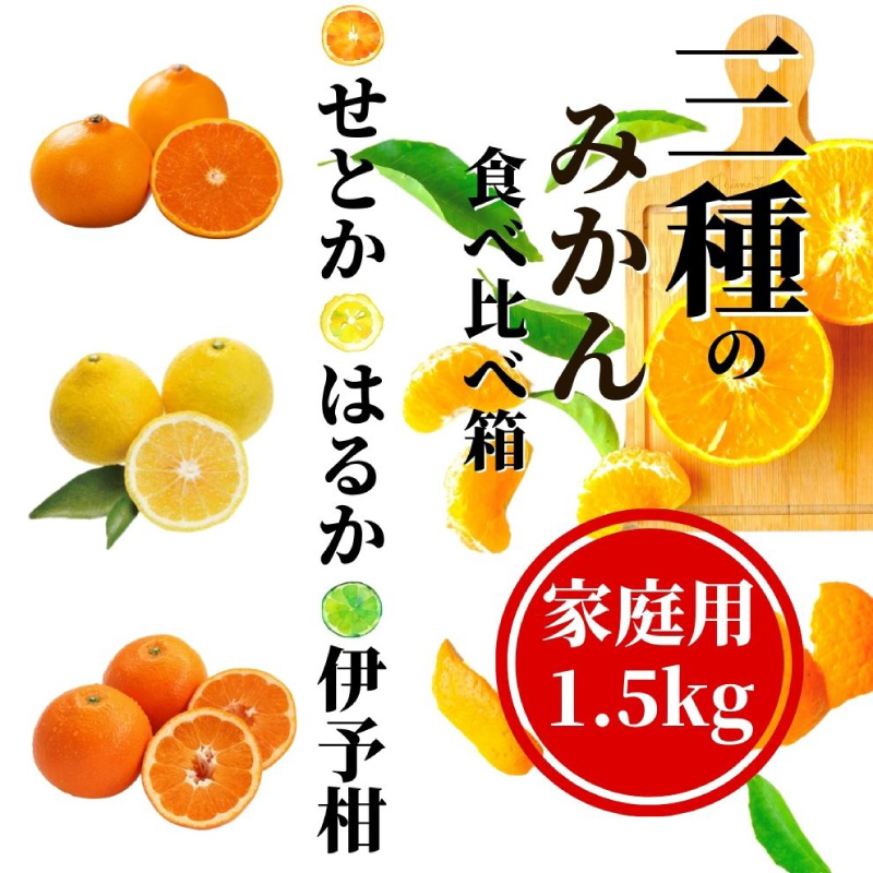 【早期予約受付中！2026年2月〜順次発送】【三種のみかん食べ比べ箱】 ＜2月から順次発送＞ せとか・はるか・伊予柑 約1.5kg 家庭用　 | 愛媛 みかん 先行予約 蜜柑 柑橘 果物 くだもの フルーツ お取り寄せ グルメ 期間限定 数量限定 人気 おすすめ 愛媛県 松山市