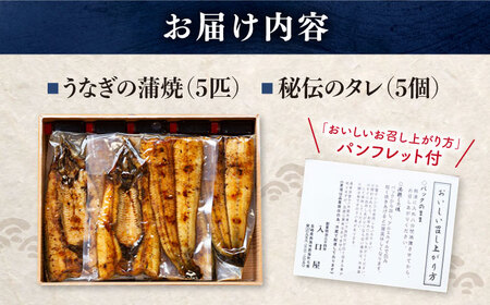 うなぎ 5匹＜入口屋＞CCA005 うなぎ うなぎ 鰻 うなぎ うなぎ 鰻 うなぎ 国産うなぎ