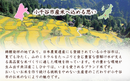 魚沼産コシヒカリ 15kg×6回 隔月お届け 米萬商店 | 90キロ 定期便 新潟県 魚沼 令和7年