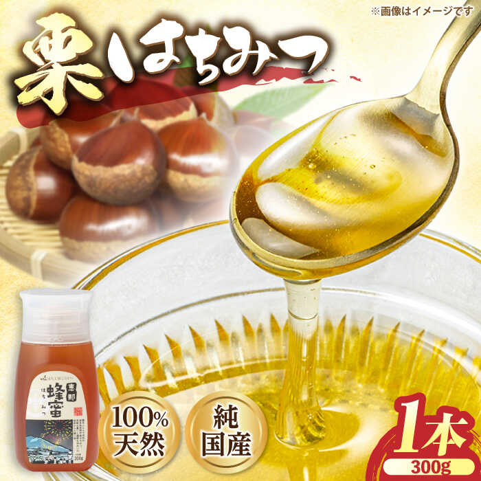 【ふるさと納税】恵那 栗蜂蜜 1本セット (栗蜂蜜300g×1本) 国産 はちみつ 蜂蜜 ハチミツ 岐阜県産 恵那市産 健康 美容 産地直送 お取り寄せ恵那市 / はち工房こうけつ[AUDF006]
