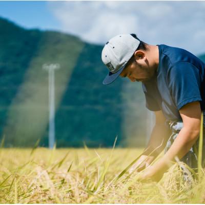 ふるさと納税 白山市 石川県白山市産のお米1合×4個+棒茶ブレンド×4個のセット　★九谷五彩デザインのオリジナルパッケージ |  | 01
