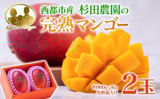 【マンゴー専門 杉田農園】西都市産 完熟マンゴー 2玉  900g~1kg 化粧箱入 生産者直送  宮崎マンゴー ＜1.6-3＞ 果物 フルーツ 甘い
