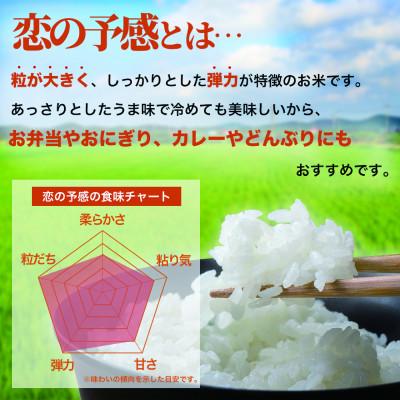 ふるさと納税 日出町 【令和8年産米】恋の予感10kg |  | 01