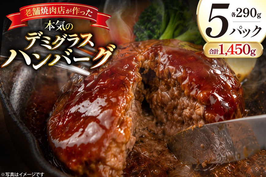 
                  AJ638 デミグラスハンバーグ290g 5パック  [ 牛肉 豚肉 国産 合挽 ギフト 御中元 御歳暮 湯煎 竹林 つばきグリル 株式会社プラス1 長崎県 島原市 ]
                