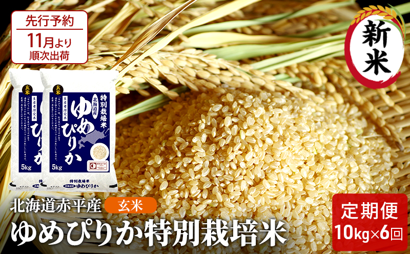 【先行予約2024年産米・11月より順次出荷】玄米 北海道赤平産 ゆめぴりか 10kg (5kg×2袋) 特別栽培米 【6回お届け】 米 北海道 定期便