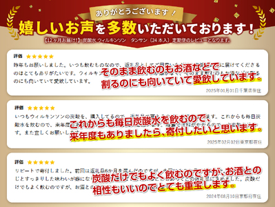強炭酸水【12ヶ月お届け！】ウィルキンソンタンサン（24本入）アサヒ 定期便  炭酸