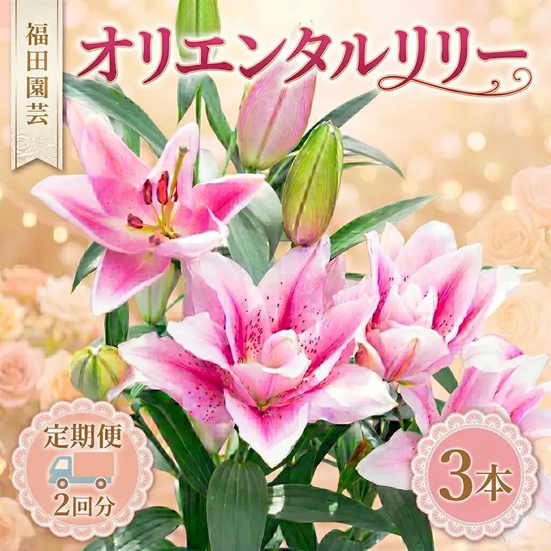  ユリ(オリエンタルリリー)3本 2ヶ月定期便【ユリ】