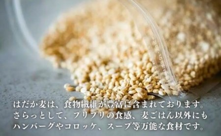 押しはだか麦 麦ごはん 食物繊維 愛媛県産 押しはだか麦【計2kg(1kg×2袋)】