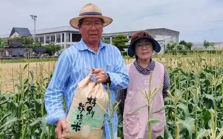 【白米】 夢つくし （特別栽培米） 約5kg 福岡県産 令和8年産 米 こめ コメ