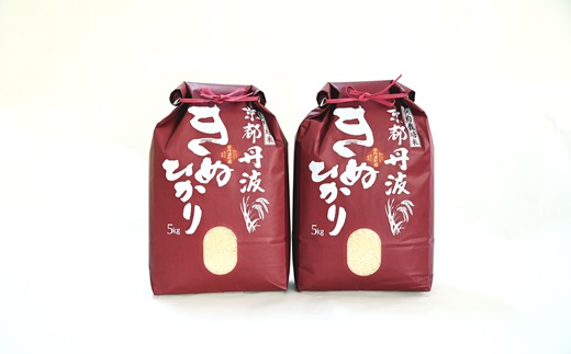 【6カ月定期便】 京丹波きぬひかり 10kg×6カ月連続 合計60kg 令和7年産 新米 京都 米 精米 キヌヒカリ ※北海道・東北・沖縄・その他離島は配送不可 [108MB002R]