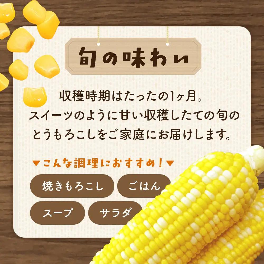 【26年8月下旬～クール便発送】とうもろこし 嶽きみ【先行受付】L～2Lサイズ 20本 しらかみラボ
