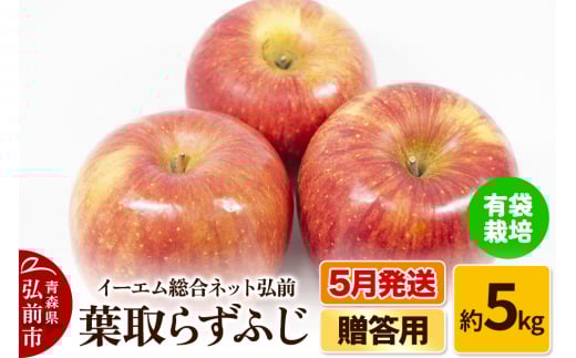 【26年5月発送】りんご  贈答用 葉取らず ふじ 約5kg（有袋栽培・CA貯蔵）EMりんご