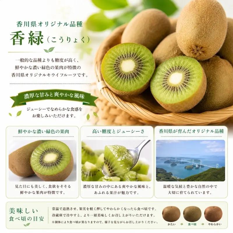 香川オリジナルキウイフルーツ「香緑（こうりょく）」約3kg 果物類 果物詰合せ 