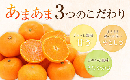 雨よけ完熟みかん「あまあま」選べる内容量 約4.4kg 正木久之《12月下旬-1月上旬》徳島県 佐那河内村 みかん ミカン 蜜柑 柑橘 箱入り 化粧箱 フルーツ 果物 くだもの 贈答【配送不可地域あり