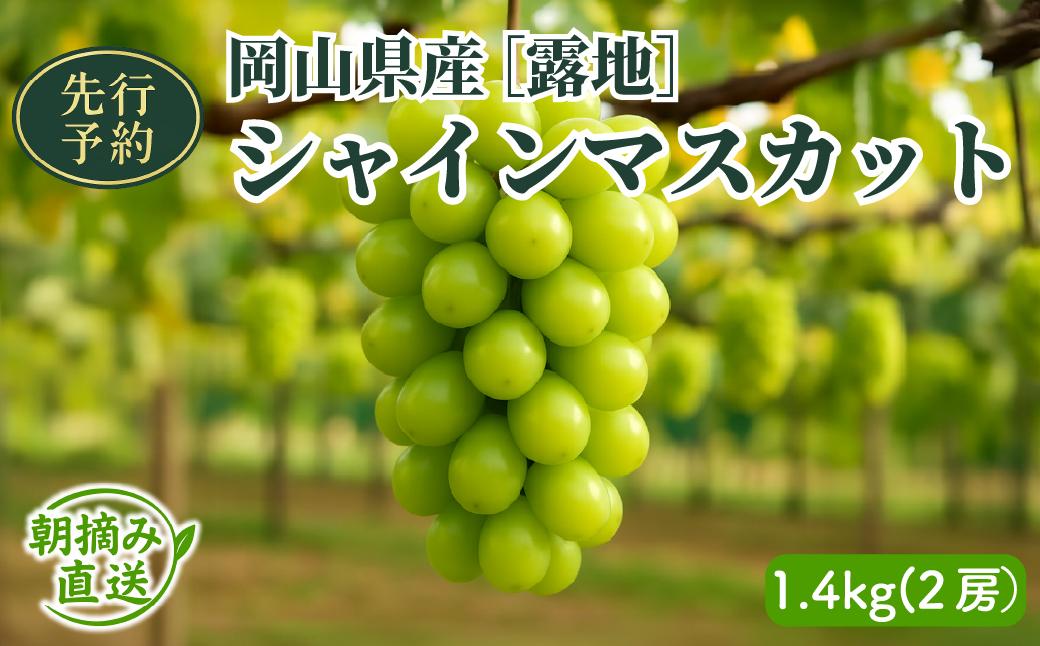 【2026年先行予約】［露地］岡山県産シャインマスカット 1.4kg（２房入）