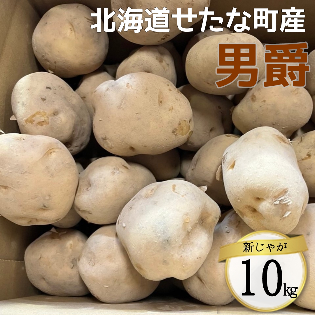 【2025年10月下旬から順次発送】【令和7年産】北海道 せたな町産 男爵 10kg 男爵いも 芋 新じゃが じゃがいも 野菜 ふるさと納税