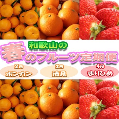 【発送月固定定期便】和歌山の春のフルーツ(ポンカン・清見オレンジ・まりひめ)定期便全3回【配送不可地域：離島・北海道・沖縄】【4053552】