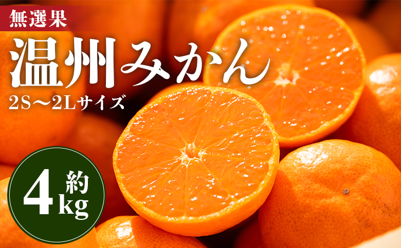 みかん 温州みかん 4kg 小玉大玉 柑橘 【無選果】 大小混合 フルーツ 果物 山のてっぺん間城農園みかん 甘い 山北みかん - ミカン 蜜柑 柑橘 柑橘類 フルーツ 果物 くだもの 甘い 家庭用 
