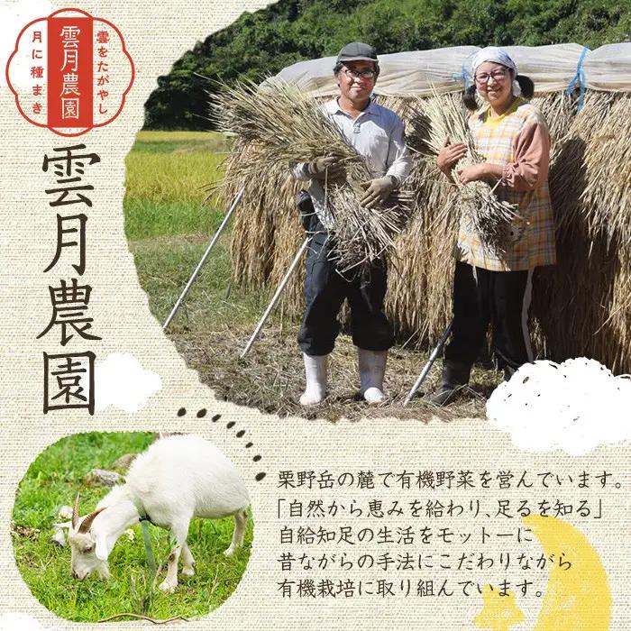 《栽培期間中農薬化学肥料不使用》 鹿児島県産 ヒノヒカリ 玄米(3kg) 国産 九州産 鹿児島県産 湧水町産 ひのひかり お米 おこめ オコメ 米 こめ コメ 玄米 ご飯 ごはん 3kg 化学肥料不使