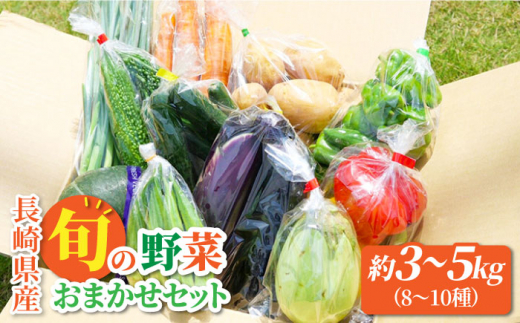 
大村産とれたてお野菜おまかせセット(8～10種) 大村市 かとりストアー [ACAN015]
