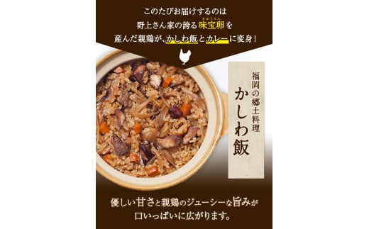 たまご屋さんのかしわ飯とやわらか親鶏カレー 計5袋 300g×5袋 野上養鶏場 《60日以内に出荷予定(土日祝除く)》味宝卵 ー---skr_ngmksca_60d_22_12000_1500g---