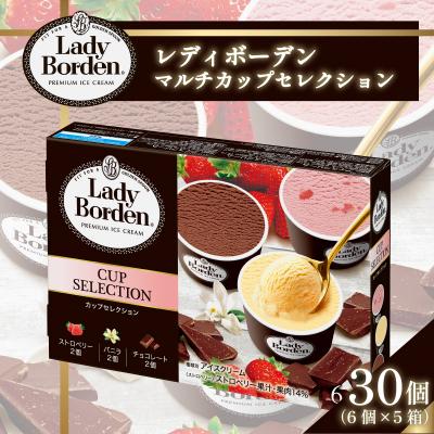 ふるさと納税 松前町 ロッテ レディーボーデン マルチカップセレクション 【MNM0022】