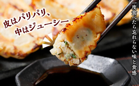 黒豚　冷凍餃子　48個