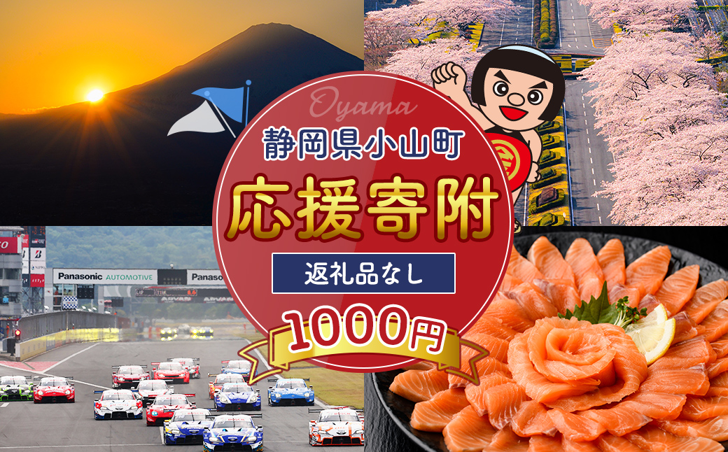 【返礼品なし】静岡県 小山町 への 応援寄附 1千円 ｜ 富士山頂 のあるまち 静岡県 小山町