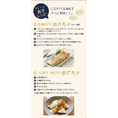 ふるさと納税 豊後大野市 【うちの餃子】餃子(大)・一口餃子・水餃子Bセット |  | 03