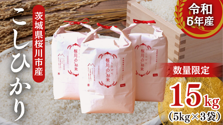 【生産者支援】 《令和6年産》茨城県 桜川市産 こしひかり15kg（5kg×3袋） 茨城県産 桜川 米 お米 白米 コメ ごはん 精米 コシヒカリ 国産 限定 [SC011sa]