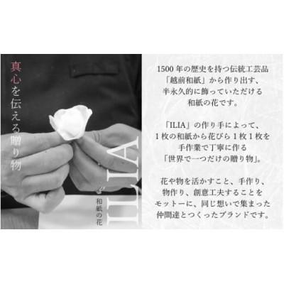 ふるさと納税 越前町 【越前和紙】 羽子板 飾り 胡蝶蘭(レッド) |  | 02