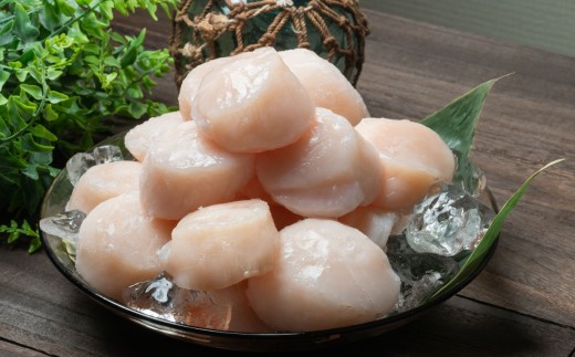 【三陸の至宝】大粒 ホタテ 玉冷 肉厚 Lサイズ500g(10～13粒入) 3パック 三陸 岩手県 三陸山田 山田町 ほたて 帆立 魚介類 海鮮 冷凍 川石水産