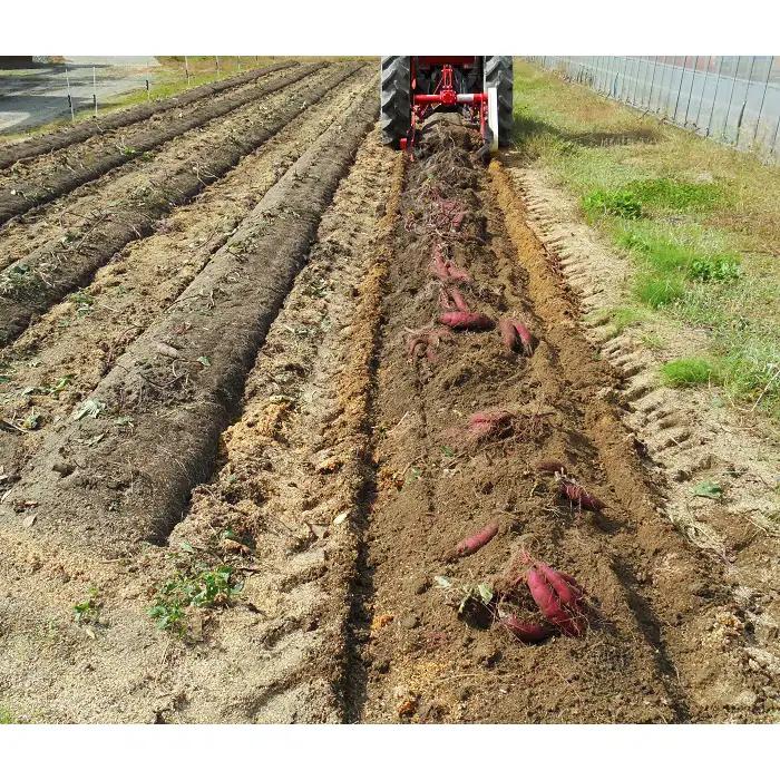 島根県飯南町産サツマイモ うやま農園のさつまいも　3.3㎏【さつまいも 生 紅はるか サツマイモ 生いも 農薬不使用 農家直送 】