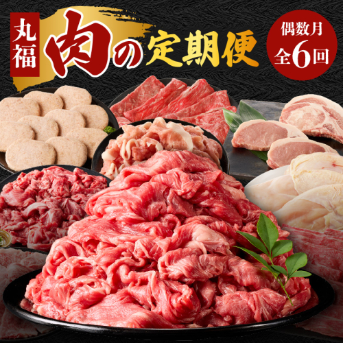 丸福 肉の定期便（6回／偶数月）