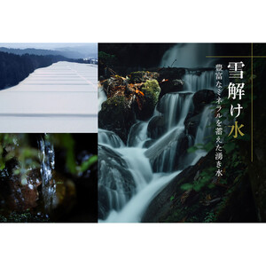 【定期便 6ヶ月】【令和7年産】魚沼産コシヒカリ 雪椿 5kg(5kg×1袋) × 6回 特別栽培米