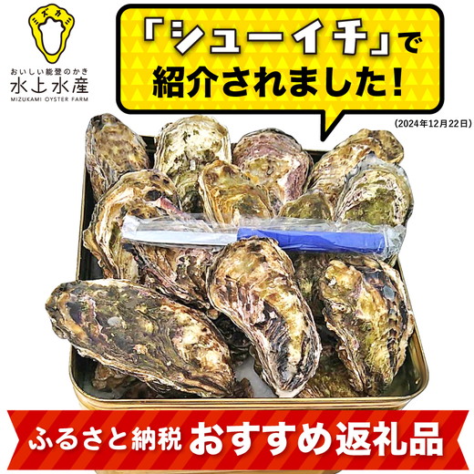 【能登半島地震復興支援】【発送時期が選べる】水上水産の能登のかき 半缶ガンガン焼き（約35～40個・ナイフ付） ※離島への配送不可 石川県 七尾市 能登 ※2026年1月上旬～4月下旬頃に順次発送予定