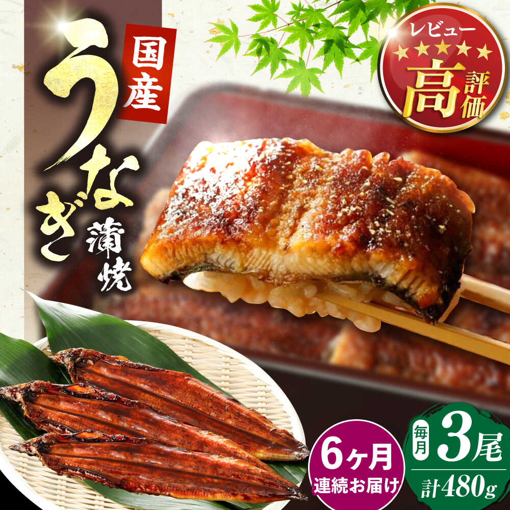 【ふるさと納税】【全6回定期便】福岡県産 うなぎ 蒲焼 大3尾 合計 480g（1尾あたり 160g以上）《豊前市》【福岡養鰻】[VAD015] 蒲焼 ウナギ お祝い プレゼント 贈答 ギフト 国産うなぎ 国産鰻 人気 おすすめ 福岡産
