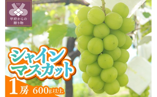 〈2026年度配送分〉甲府市産　シャインマスカット　1房入り　600ｇ以上