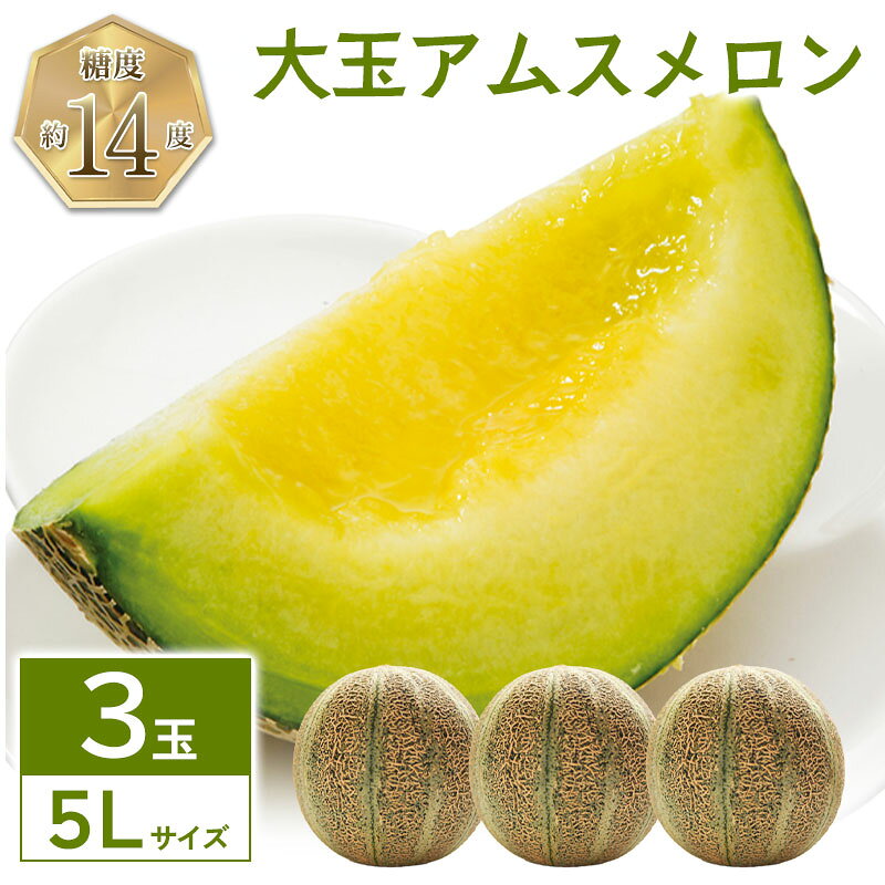 【ふるさと納税】大玉 アムスメロン 5L 3玉 3個 メロン 季節限定 期間限定 果物 フルーツ くだもの お土産 プレゼント 贈り物 ご褒美 贅沢
