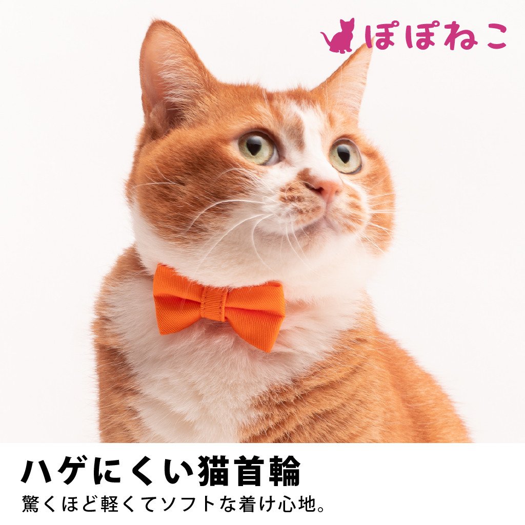 ぽぽねこ ギフト券 15,000円分 （Eメールタイプ）