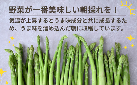 アスパラガス 朝採れ！新鮮！訳ありグリーンアスパラガス B品 1kg | アスパラガス アスパラガス アスパラガス アスパラガス アスパラガス