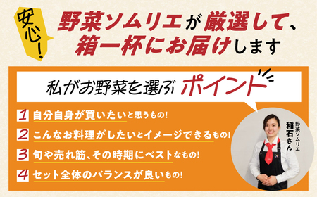 【定期便】 旬の野菜 フルーツ 詰め合わせ 6回定期便 ～ 12品 野菜ソムリエ 厳選 野菜セット